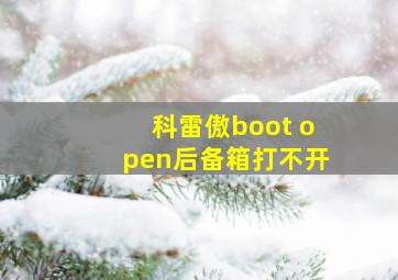 科雷傲boot open后备箱打不开